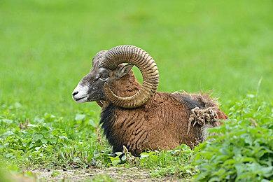 2025年1月Steam硬件调查 最流行的配置是这些