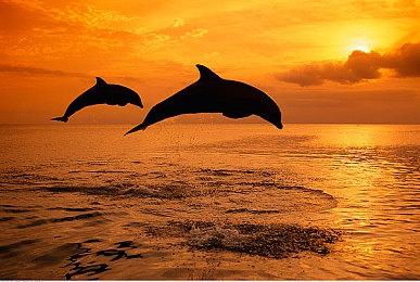 《最终幻想7：重生》召唤兽巴哈姆特改 泰坦 菲尼克斯介绍